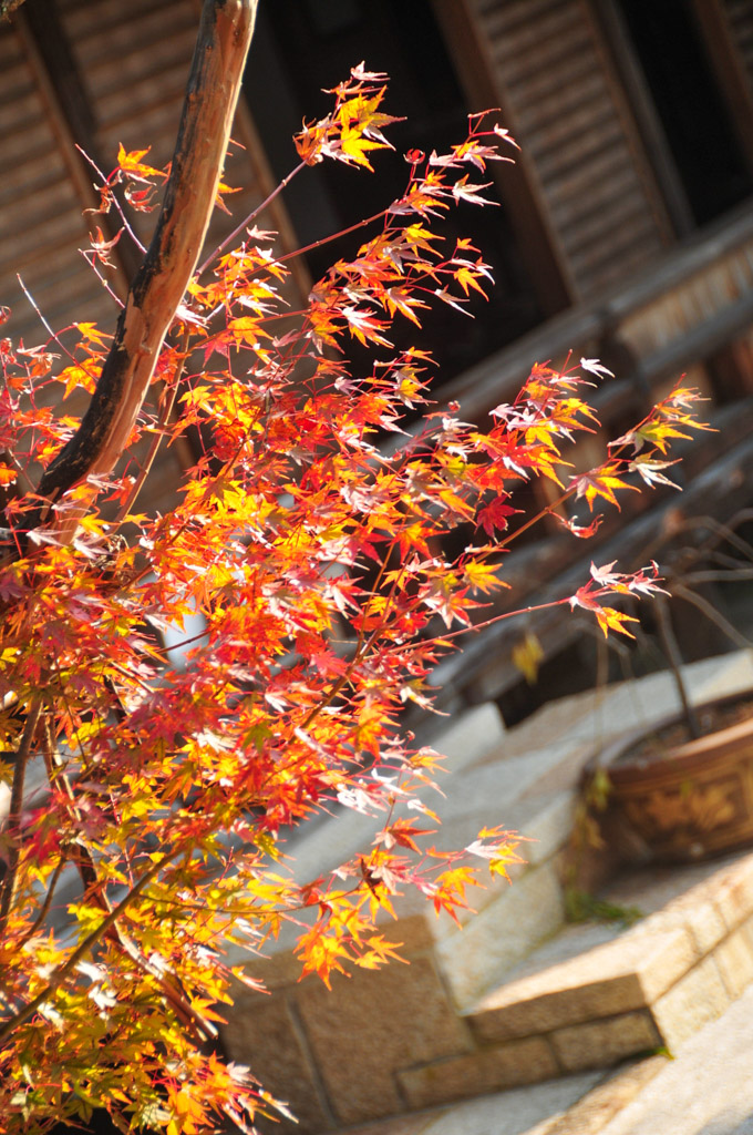 Japan – Part&nbsp;II