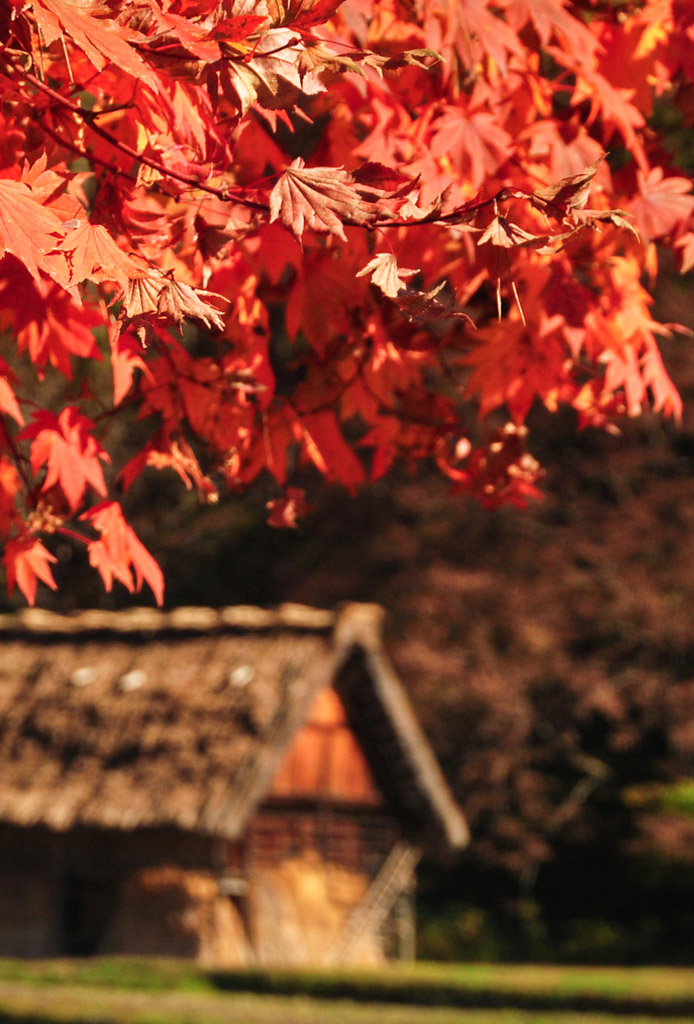 Japan – Part&nbsp;III